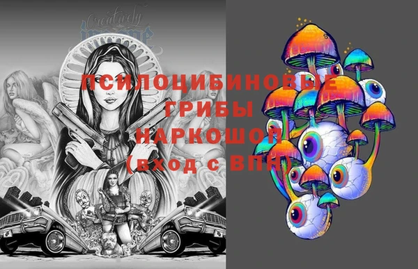 шишки Алзамай