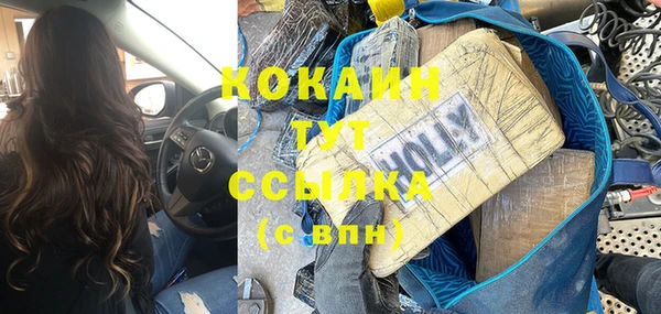 шишки Алзамай
