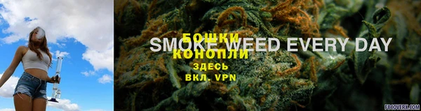 шишки Алзамай