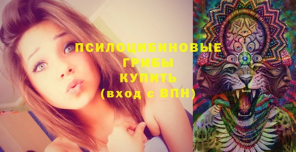 ALPHA PVP Алексин