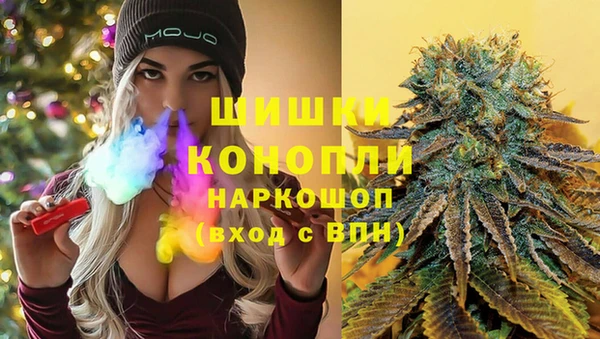 шишки Алзамай