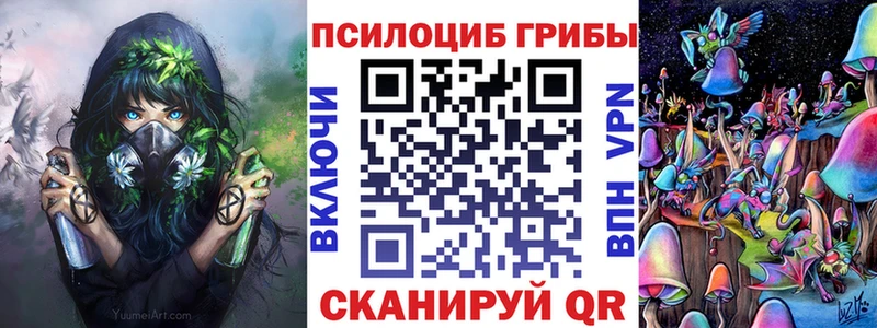 Псилоцибиновые грибы ЛСД  Купить  Алагир 
